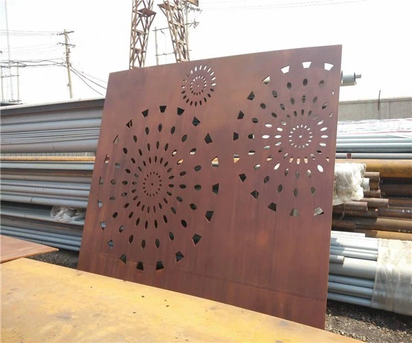 Custom Elegant Decor Screen